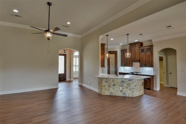 1306 Prestwick Ct, Granbury, TX 76048 - kitchen with arched walkways, backsplash, open floor plan, crown molding, and recessed lighting
