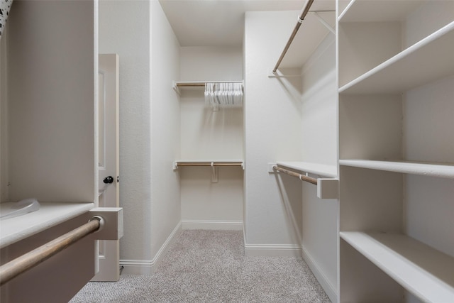 306 Spruce Trl, Forney, TX 75126 - walk in closet with carpet floors