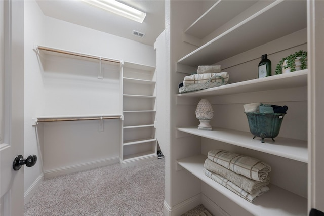 306 Spruce Trl, Forney, TX 75126 - spacious closet with carpet