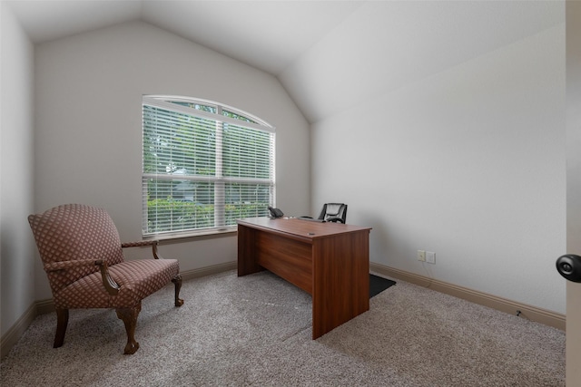 306 Spruce Trl, Forney, TX 75126 - office space featuring lofted ceiling and light carpet