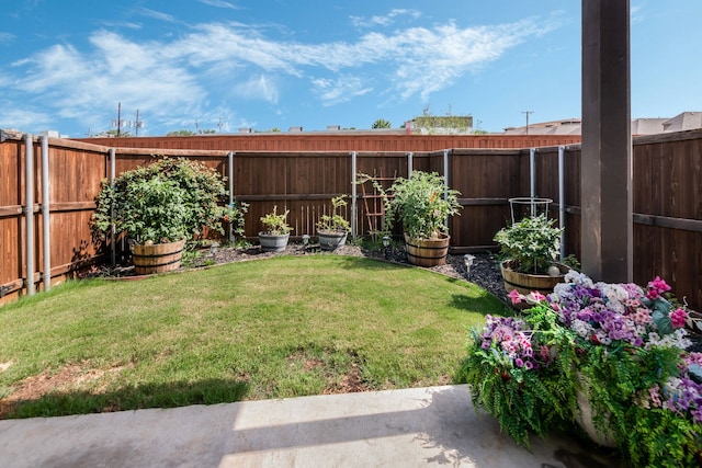 5616 Traveller Dr, North Richland Hills, TX 76180 - view of fenced backyard