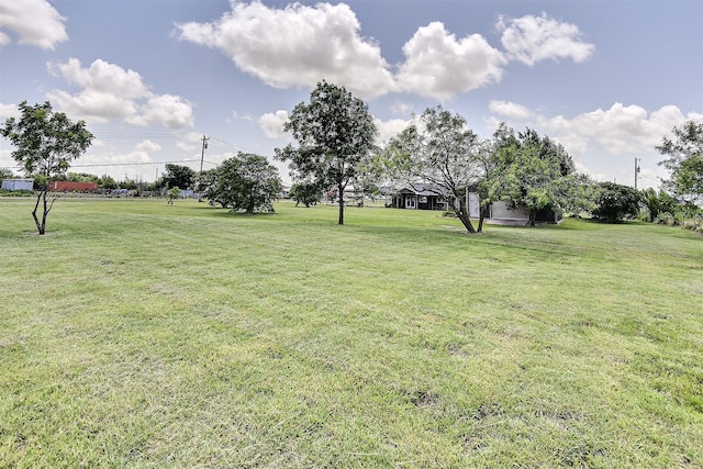 351 Marion Rd, Venus, TX 76084 - view of green lawn