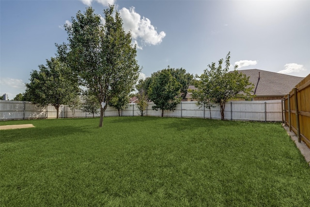 6414 Seaford Rd, Arlington, TX 76001 - view of fenced backyard