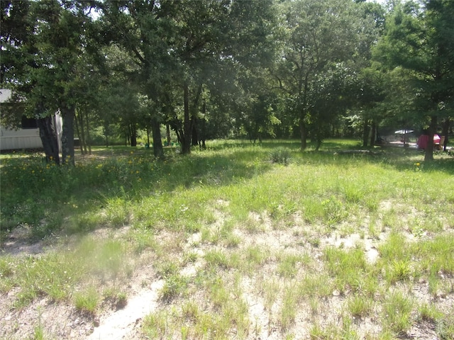 TBD Mesquite Ln, Murchison, TX 75778