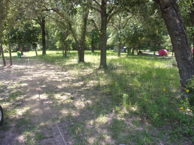 TBD Mesquite Ln, Murchison, TX 75778