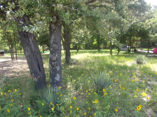 TBD Mesquite Ln, Murchison, TX 75778