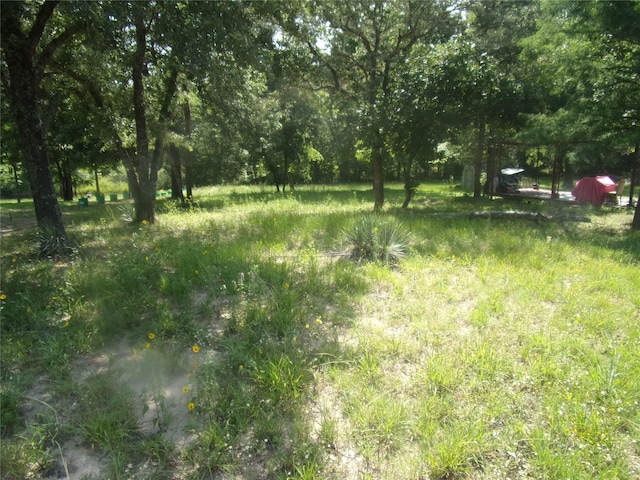 TBD Mesquite Ln, Murchison, TX 75778