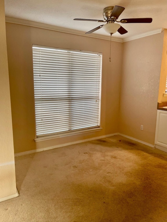 817 W Harwood Rd Unit B, Hurst, TX 76054 - spare room with crown molding, ceiling fan, and light colored carpet