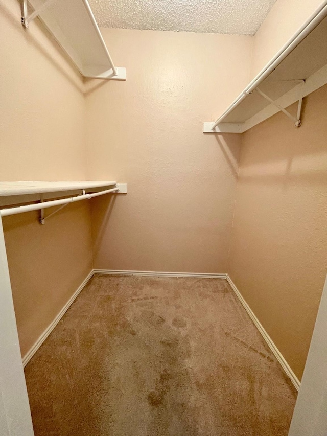 817 W Harwood Rd Unit B, Hurst, TX 76054 - spacious closet featuring carpet flooring