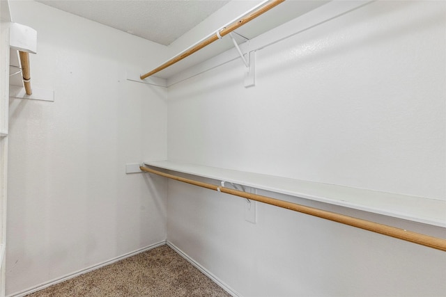 7210 Mercurys Rd, Rowlett, TX 75089 - spacious closet featuring carpet flooring