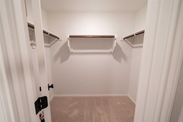 3117 Harper St, Little Elm, TX 75068 - spacious closet featuring carpet floors