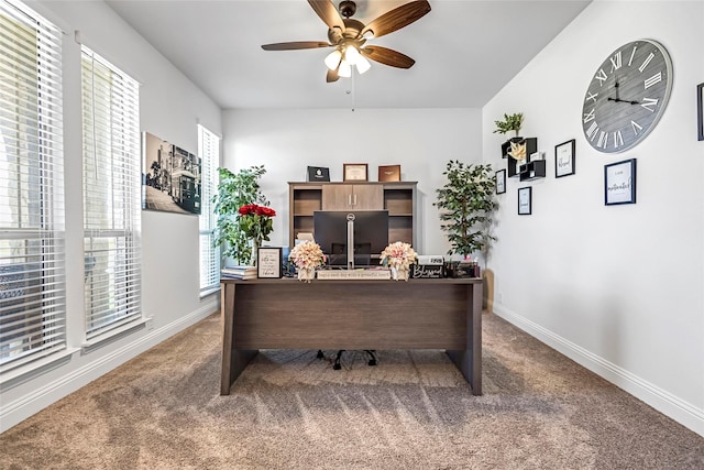 303 Hidden Cove Dr, Ponder, TX 76259 - home office with carpet flooring, ceiling fan, and healthy amount of natural light