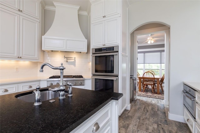 100 Redtail Hawk Dr, Aledo, TX 76008 - kitchen with custom range hood, appliances with stainless steel finishes, crown molding, white cabinets, and decorative backsplash