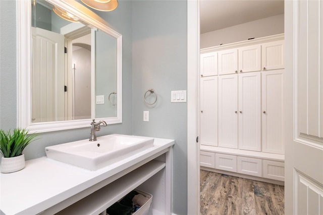100 Redtail Hawk Dr, Aledo, TX 76008 - bathroom with wood finished floors and vanity