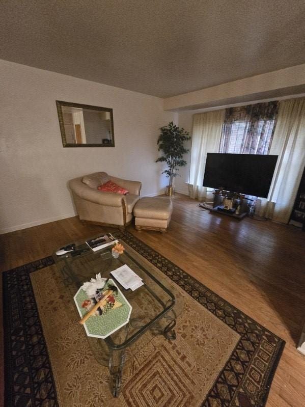 3916 Kushla Ave, Dallas, TX 75216 - living area featuring wood finished floors and a textured ceiling
