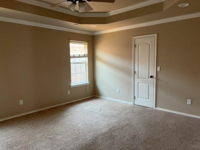 307 W Dormard Ave, Midland, TX 79705 - empty room with a raised ceiling, ceiling fan, carpet floors, and crown molding