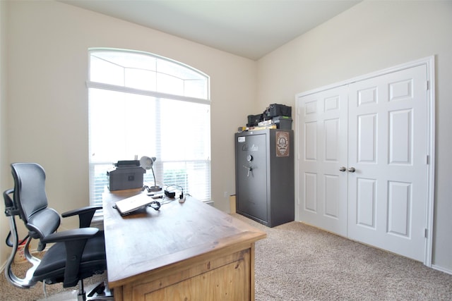 9929 Caney Creek Dr, Waco, TX 76708 - office space featuring light carpet