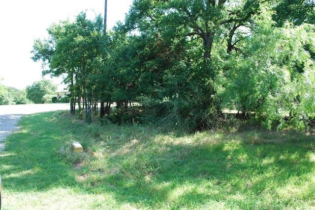 14057 Sandy Oaks Dr, Whitney, TX 76692