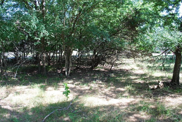 14057 Sandy Oaks Dr, Whitney, TX 76692