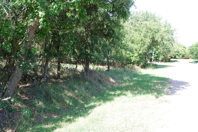 14057 Sandy Oaks Dr, Whitney, TX 76692