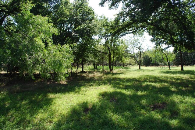 14057 Sandy Oaks Dr, Whitney, TX 76692
