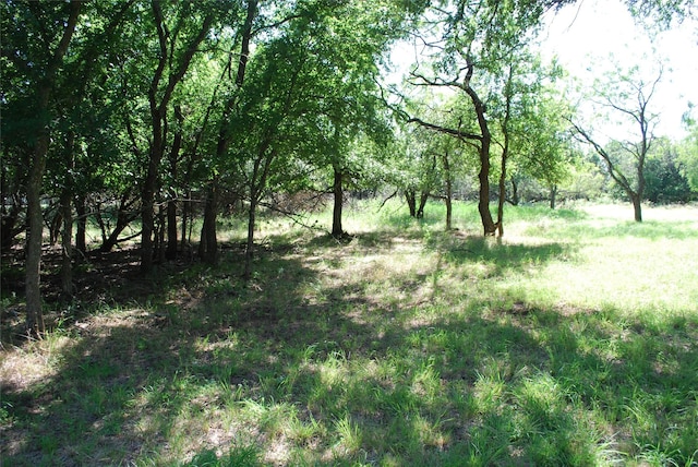 14057 Sandy Oaks Dr, Whitney, TX 76692