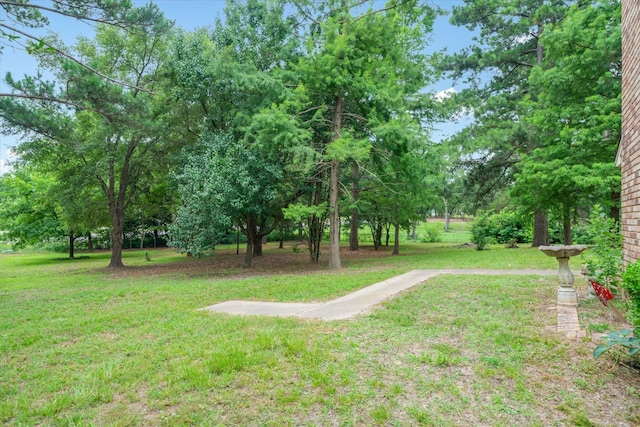 6179 State Highway 31 E, Murchison, TX 75778 - view of green lawn