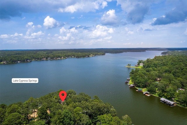 329 Hickory Hill Ln, Scroggins, TX 75480 - drone / aerial view of a nearby body of water