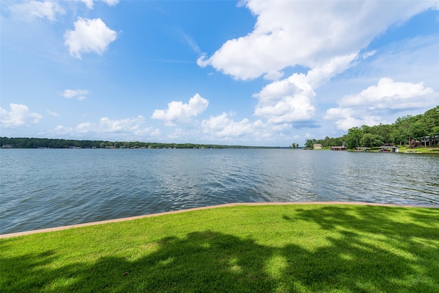 329 Hickory Hill Ln, Scroggins, TX 75480 - water view