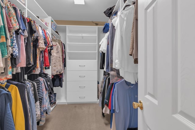 5233 Scenic Point Dr, Fort Worth, TX 76244 - spacious closet with carpet floors