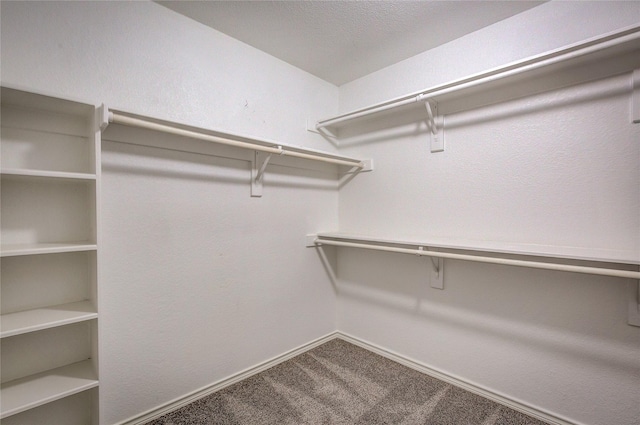 1015 Midnight Pass, Rockwall, TX 75087 - walk in closet featuring carpet flooring