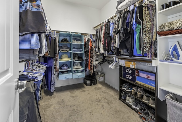 2600 Canyon Wren Ln, Fort Worth, TX 76244 - walk in closet with carpet floors