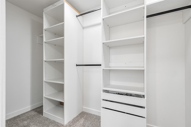 1030 W Five Mile Pkwy, Dallas, TX 75224 - spacious closet with light colored carpet