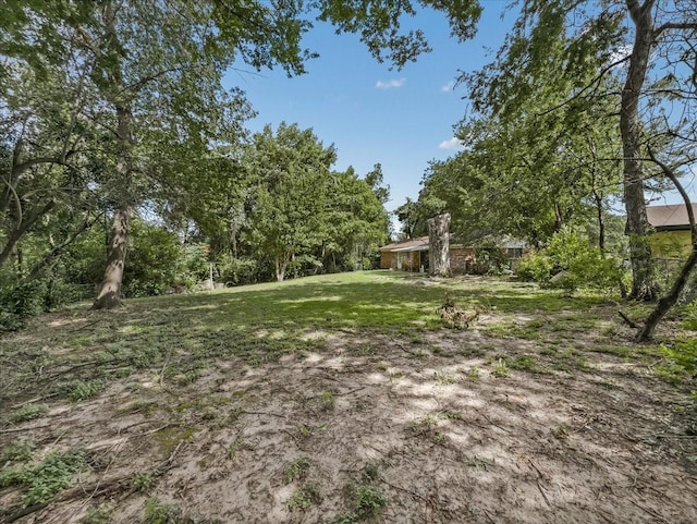 202 E Rentz St, Weatherford, TX 76086 - view of green lawn