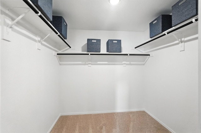 3001 Percheron Dr, Mesquite, TX 75150 - walk in closet with carpet floors