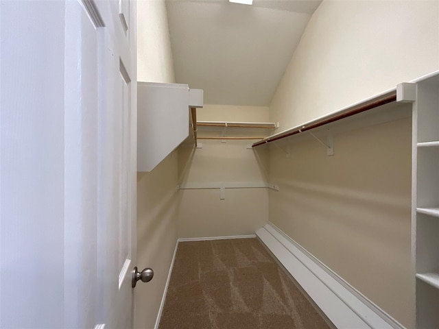 939 Clear Creek Dr, Mesquite, TX 75181 - spacious closet with carpet
