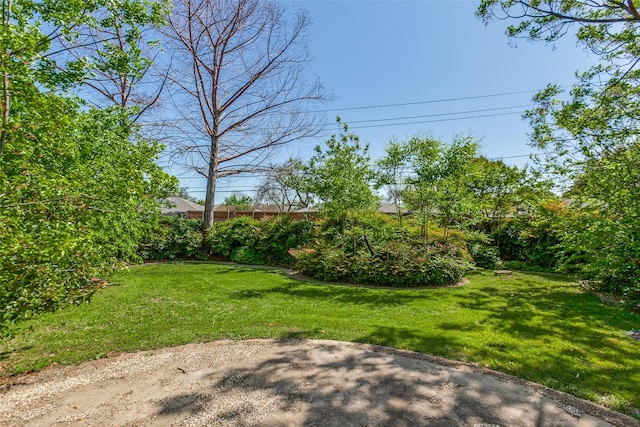 4818 Thunder Rd, Dallas, TX 75244 - view of grassy yard
