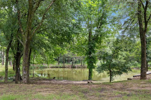 605 Pine Island Cir, Mansfield, TX 76063 - water view
