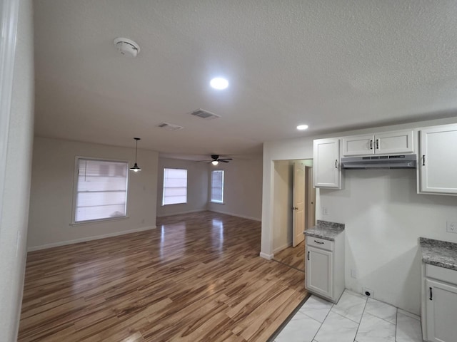1513 Skyline Dr, River Oaks, TX 76114 - kitchen with under cabinet range hood, a ceiling fan, open floor plan, recessed lighting, and light wood-style flooring