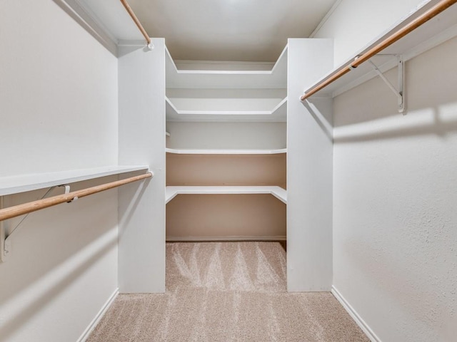 225 Mountainview Dr, Hurst, TX 76054 - walk in closet featuring carpet