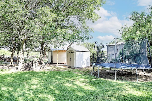 1561 Fm 1816, Bowie, TX 76230 - view of green lawn with a trampoline and a shed