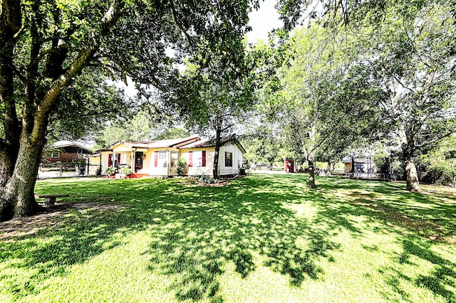 1561 Fm 1816, Bowie, TX 76230 - view of yard