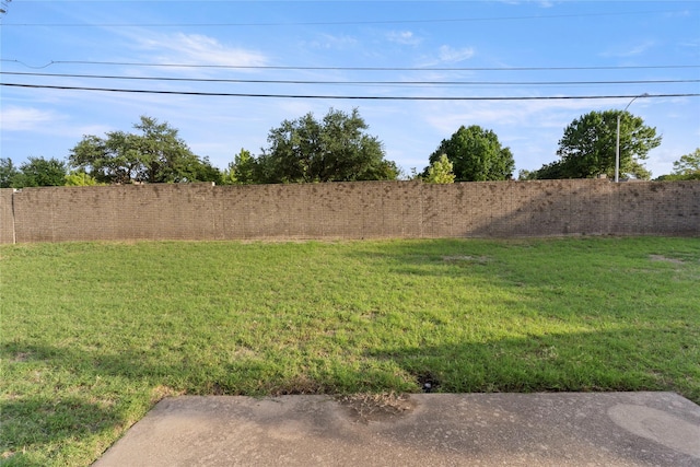 1007 Elk Grove Dr, Richardson, TX 75081 - view of yard