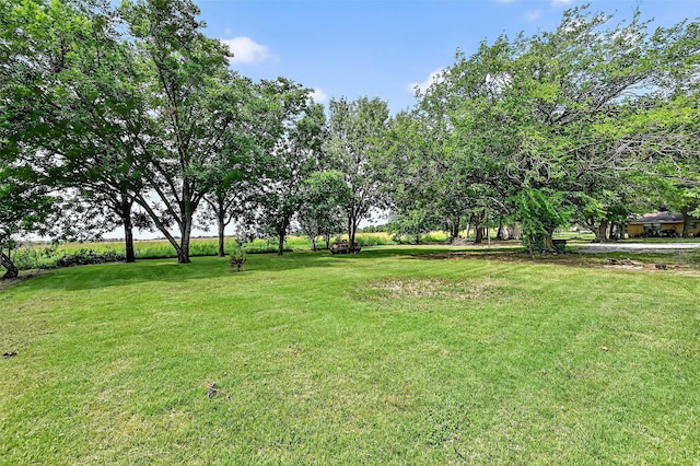 12906 Fm 902, Dorchester, TX 75459 - view of green lawn