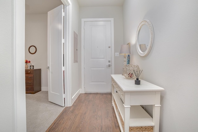 770 N Plano Rd Unit 202, Richardson, TX 75081 - corridor with light wood finished floors and electric panel