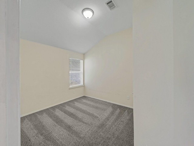 8705 Autumn Creek Trl, Fort Worth, TX 76134 - bonus room featuring vaulted ceiling and carpet floors