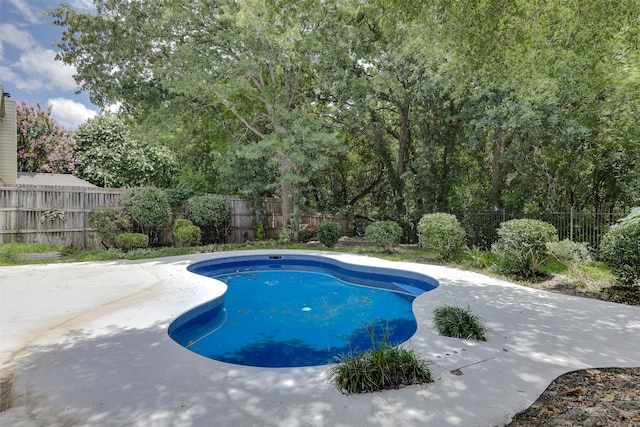 6111 Pinwood Cir, Arlington, TX 76001 - view of pool featuring a fenced backyard and a patio