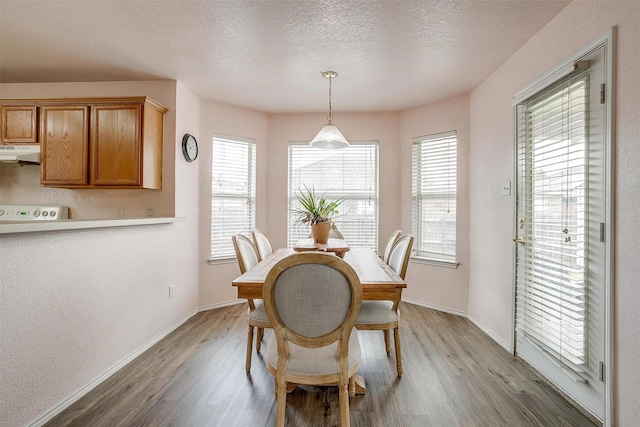 953 Mesa Vista Dr, Crowley, TX 76036 - dining room featuring light wood-type flooring, healthy amount of natural light, and a textured ceiling