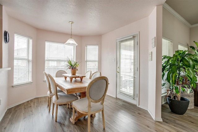 953 Mesa Vista Dr, Crowley, TX 76036 - dining space featuring plenty of natural light, wood finished floors, and a textured ceiling