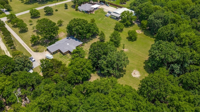 4645 Pecan Place Dr, Mckinney, TX 75071 - bird's eye view